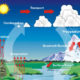 10 Basic Water Tests | Written by: Todd Mosteller, FWQA (Florida Water Quality Association) Treasurer